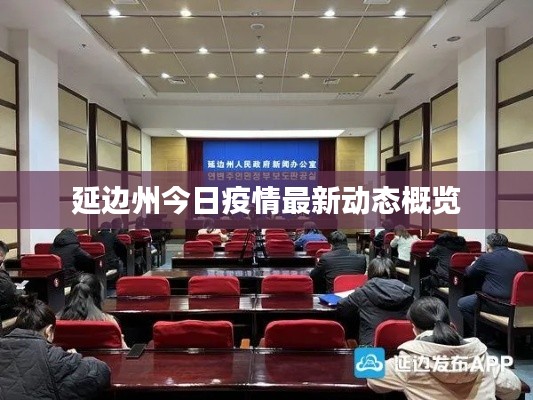 延边州今日疫情最新动态概览