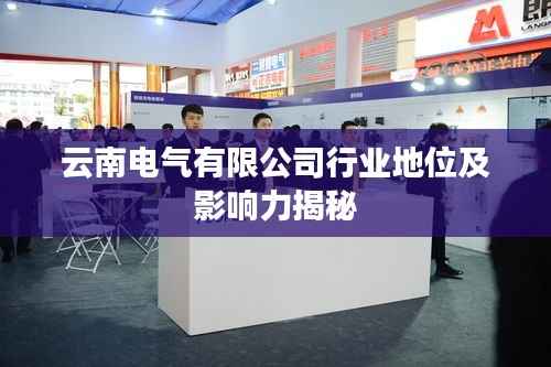 云南电气有限公司行业地位及影响力揭秘
