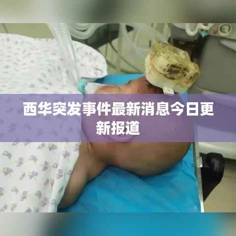 西华突发事件最新消息今日更新报道