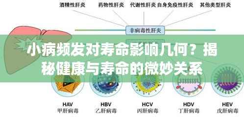 小病频发对寿命影响几何?揭秘健康与寿命的微妙关系