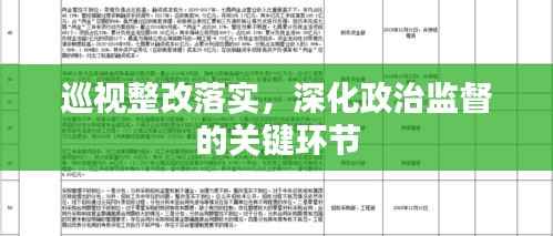 巡视整改落实,深化政治监督的关键环节