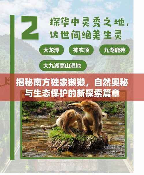 揭秘南方独家獭獭,自然奥秘与生态保护的新探索篇章