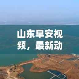 山东早安视频,最新动态,开启美好一天