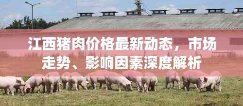 江西猪肉价格最新动态,市场走势、影响因素深度解析