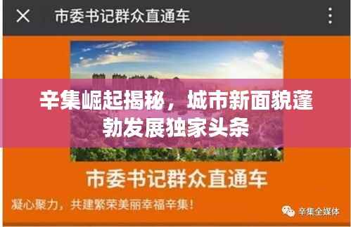 辛集崛起揭秘,城市新面貌蓬勃发展独家头条