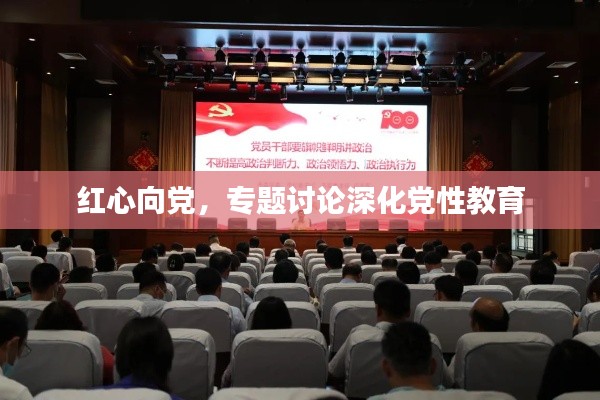 红心向党,专题讨论深化党性教育
