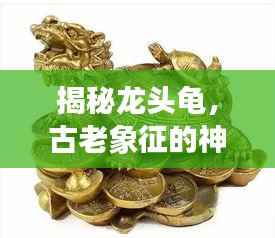 揭秘龙头龟,古老象征的神秘传说探寻