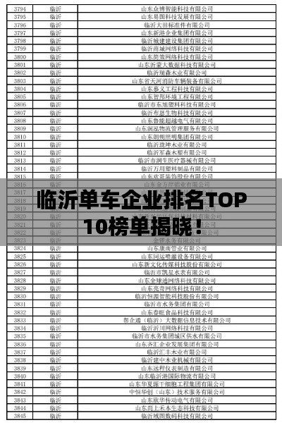 临沂单车企业排名TOP10榜单揭晓！