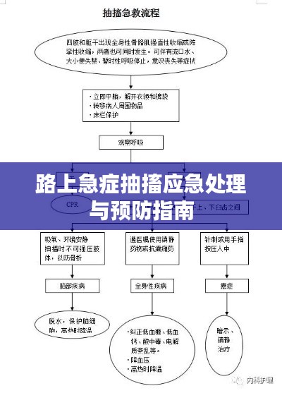 路上急症抽搐应急处理与预防指南