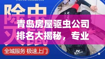 青岛房屋驱虫公司排名大揭秘,专业团队,高效服务!