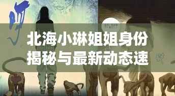 北海小琳姐姐身份揭秘与最新动态速递