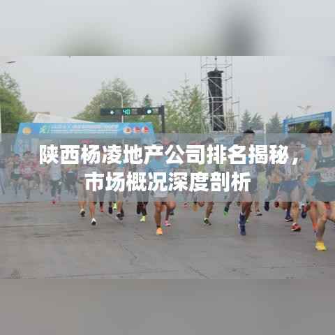 陕西杨凌地产公司排名揭秘,市场概况深度剖析
