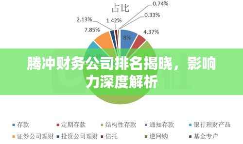 腾冲财务公司排名揭晓，影响力深度解析