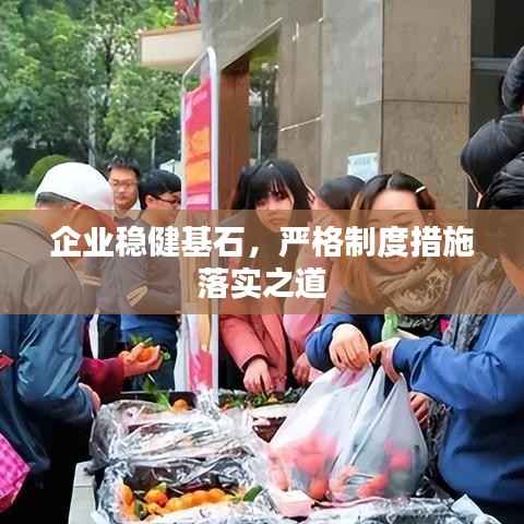 企业稳健基石,严格制度措施落实之道