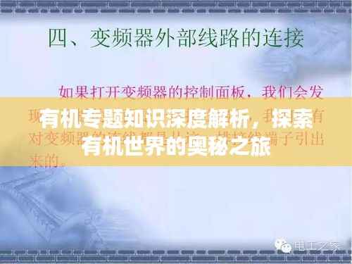 有机专题知识深度解析,探索有机世界的奥秘之旅