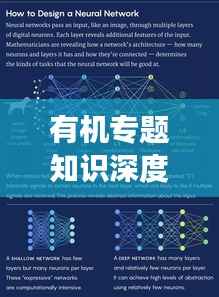 有机专题知识深度解析,探索有机世界的奥秘之旅