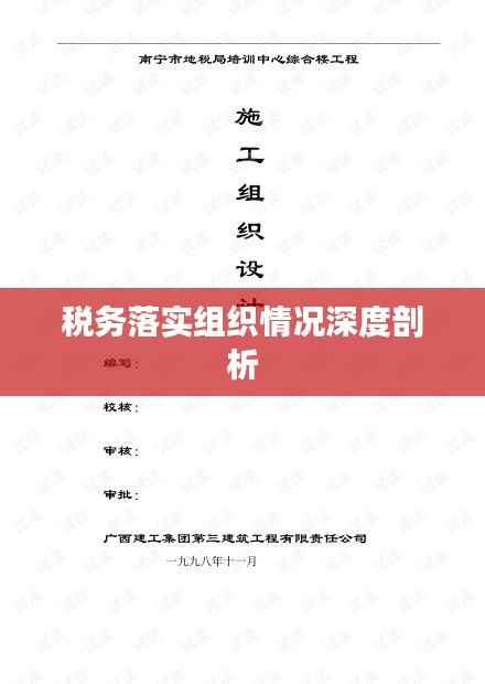 税务落实组织情况深度剖析