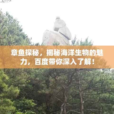 章鱼探秘，揭秘海洋生物的魅力，百度带你深入了解！