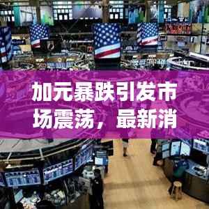 加元暴跌引发市场震荡,最新消息与深度解读