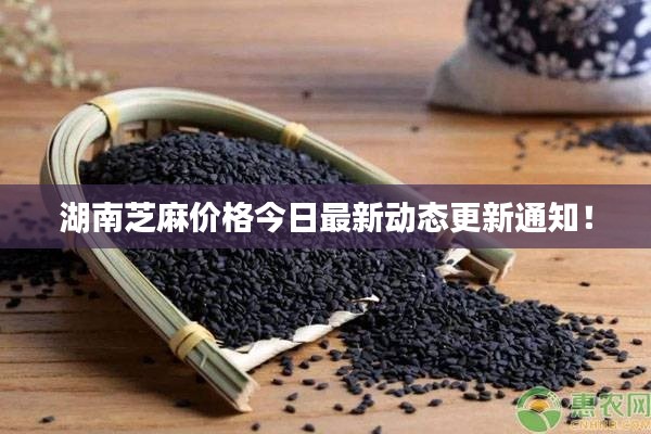 湖南芝麻价格今日最新动态更新通知!