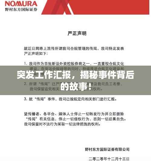 突发工作汇报,揭秘事件背后的故事!
