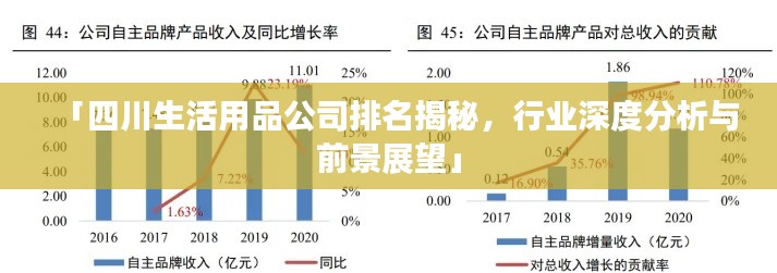 「四川生活用品公司排名揭秘,行业深度分析与前景展望」