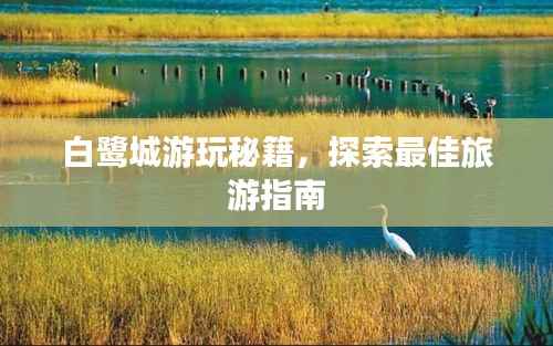 白鹭城游玩秘籍,探索最佳旅游指南