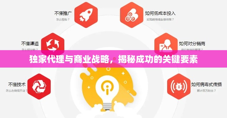 独家代理与商业战略,揭秘成功的关键要素