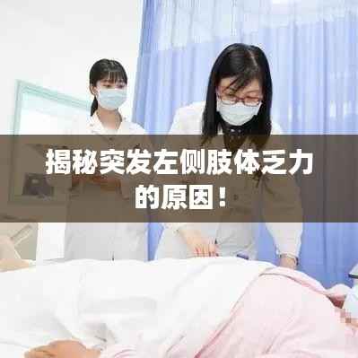 还淳反素 第4页