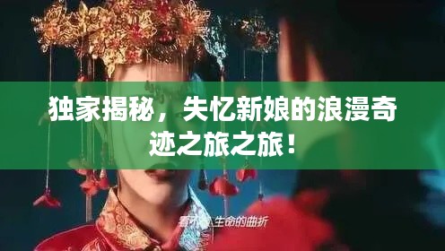 独家揭秘,失忆新娘的浪漫奇迹之旅之旅!