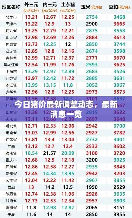 今日猪价最新调整动态,最新消息一览