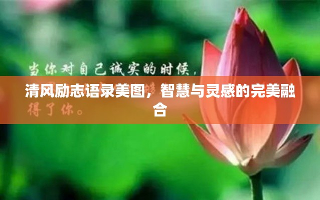 清风励志语录美图,智慧与灵感的完美融合