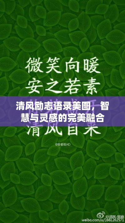 清风励志语录美图,智慧与灵感的完美融合