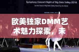 欧美独家DMM艺术魅力探索,未知领域的艺术盛宴