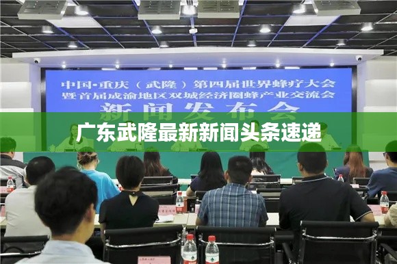 广东武隆最新新闻头条速递
