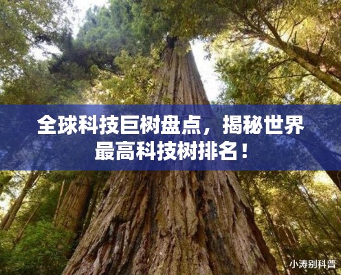 全球科技巨树盘点,揭秘世界最高科技树排名!