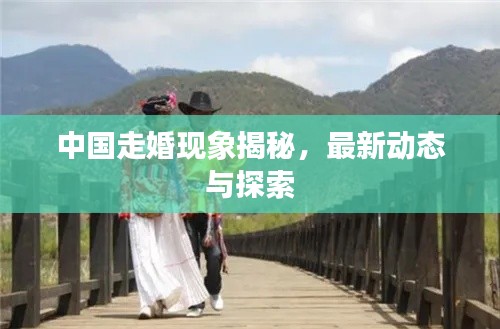 中国走婚现象揭秘,最新动态与探索