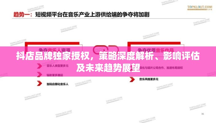 抖店品牌独家授权，策略深度解析、影响评估及未来趋势展望
