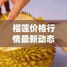 榴莲价格行情最新动态分析今日发布
