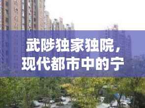 武陟独家独院,现代都市中的宁静港湾,舒适生活等你体验