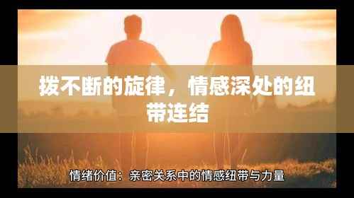 拨不断的旋律，情感深处的纽带连结