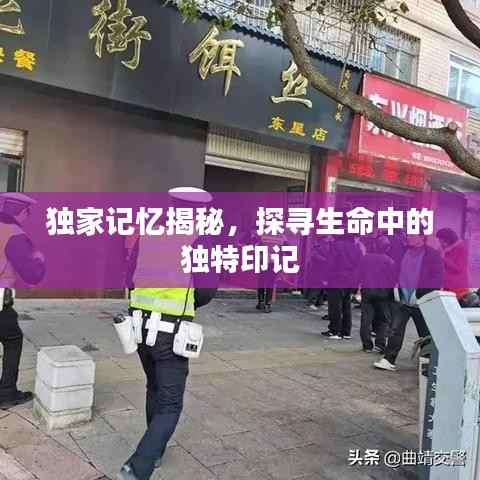 独家记忆揭秘,探寻生命中的独特印记