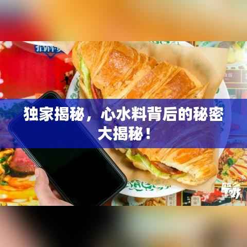 独家揭秘,心水料背后的秘密大揭秘!