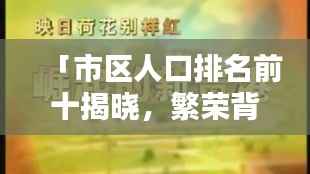 「市区人口排名前十揭晓,繁荣背后的秘密大揭秘」