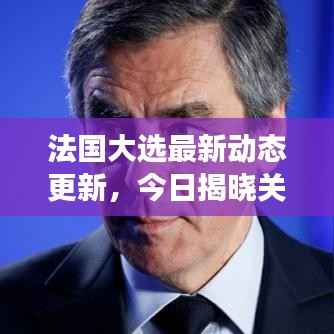 法国大选最新动态更新,今日揭晓关键进展
