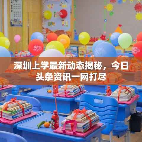 深圳上学最新动态揭秘,今日头条资讯一网打尽