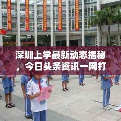 深圳上学最新动态揭秘,今日头条资讯一网打尽