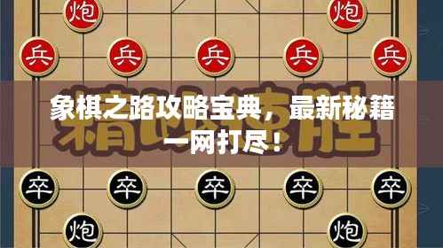 象棋之路攻略宝典,最新秘籍一网打尽!