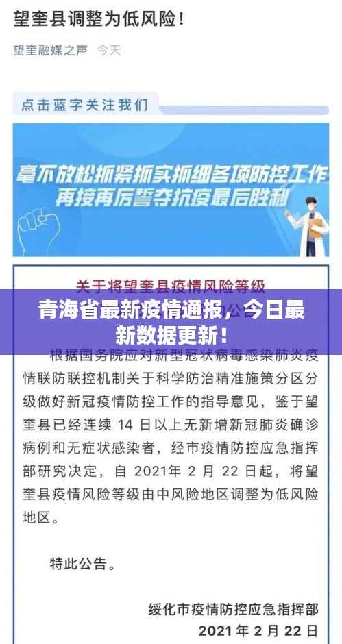 青海省最新疫情通报,今日最新数据更新!