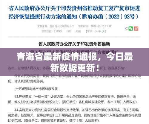 青海省最新疫情通报,今日最新数据更新!
